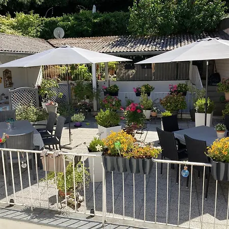 Living Above The Roofs Of Cochem