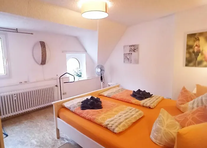 Living Above The Roofs Of アパート コッヘム