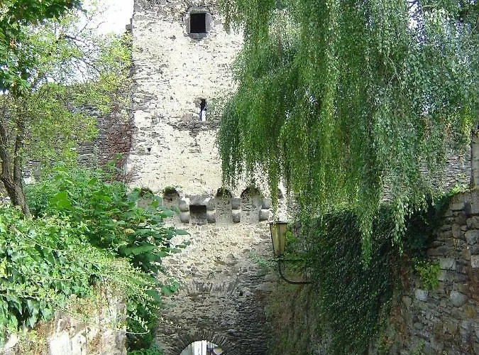 Living Above The Roofs Of * コッヘム